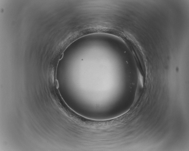 X0000054400021200507291129