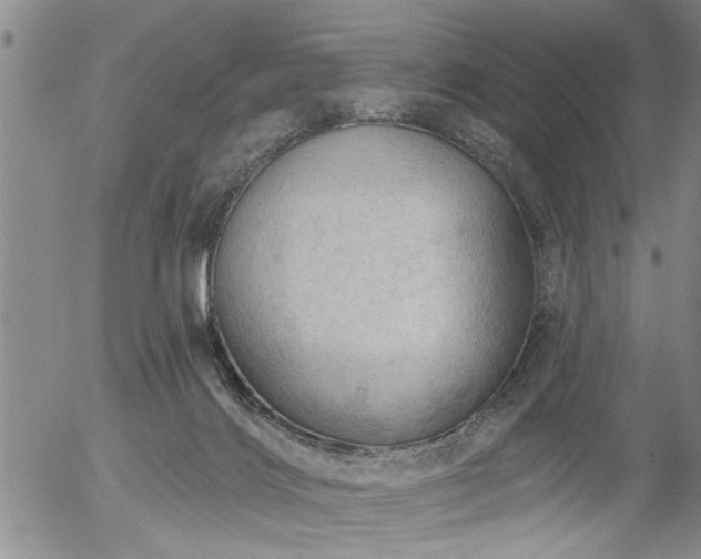 X0000054400028200507291129