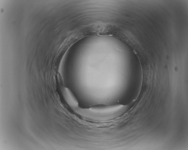 X0000054400035200507291128