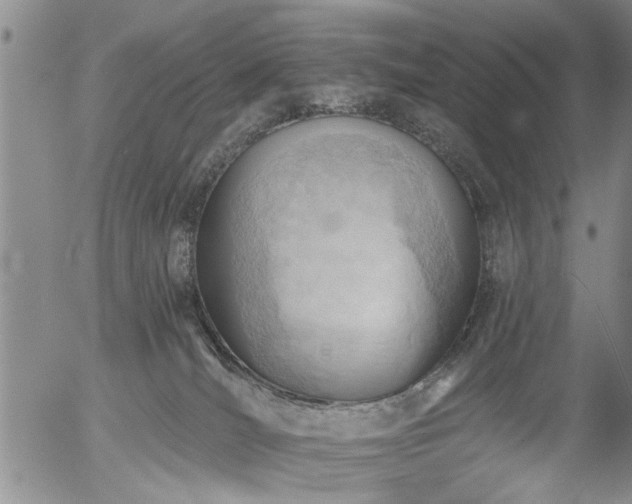 X0000054400036200507291128