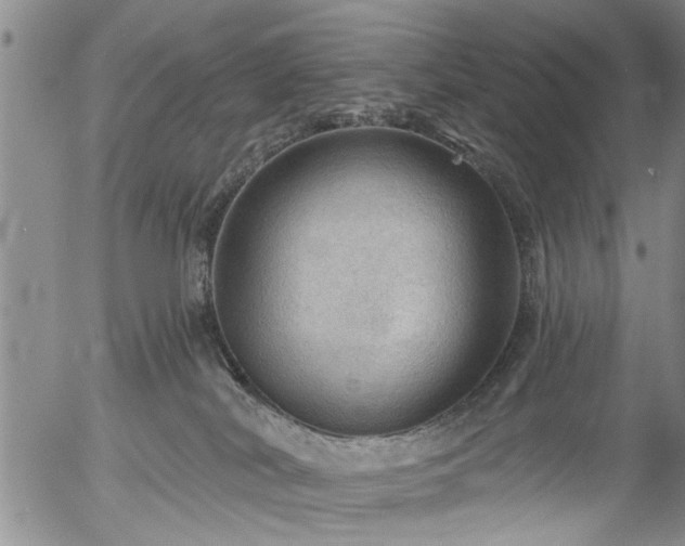 X0000054400038200507291128