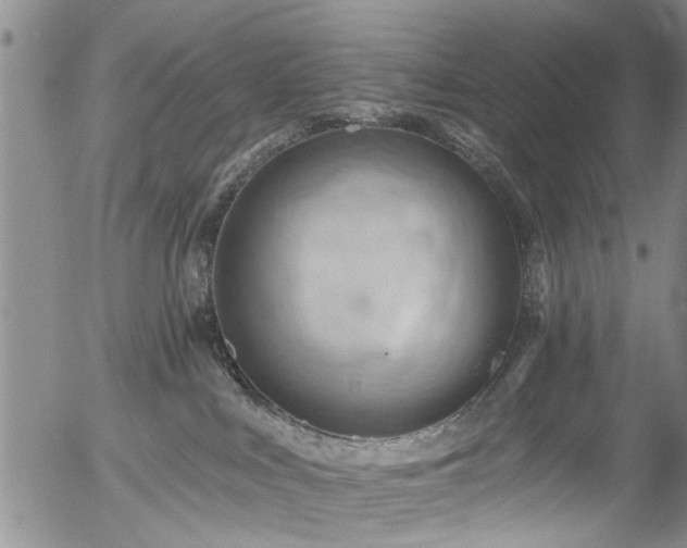 X0000054400043200507291128