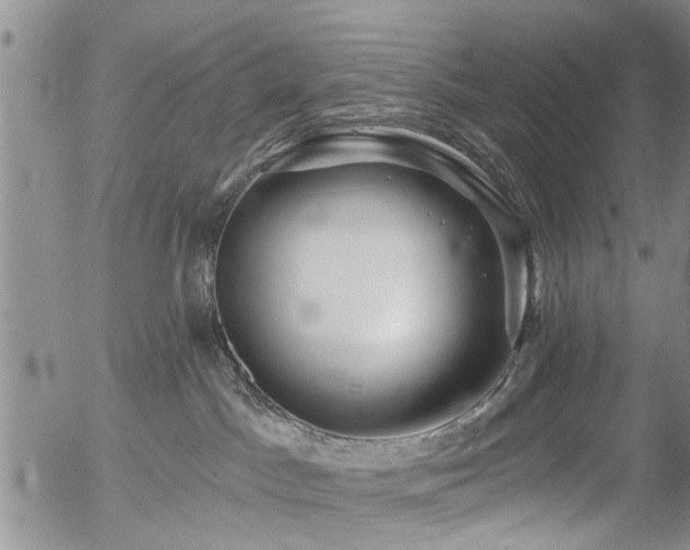 X0000054400045200507291128