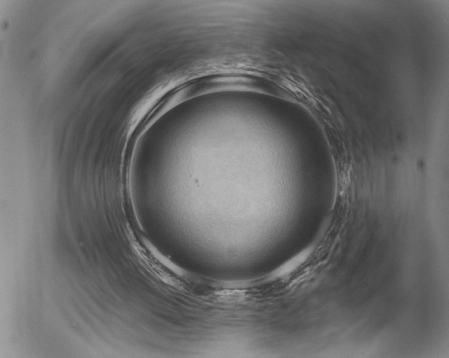 X0000054400052200507291128