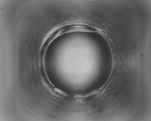 X0000054400056200507291128