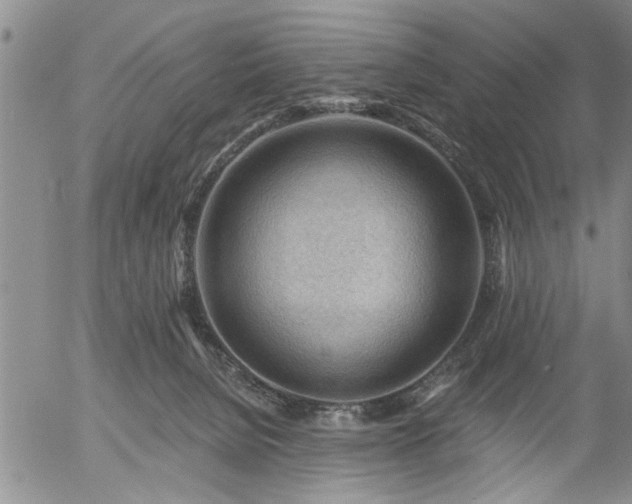 X0000054400080200507291128