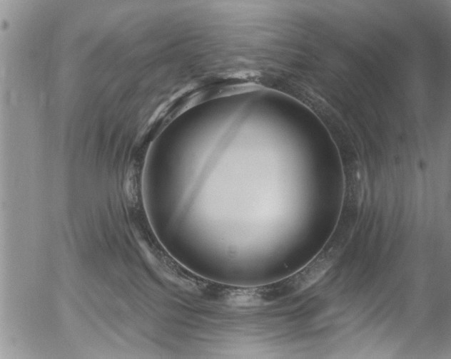 X0000054400088200507291128