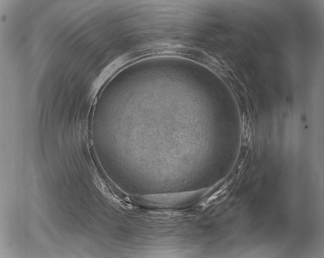 X0000054400099200507291127