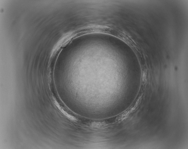 X0000054400101200507291127
