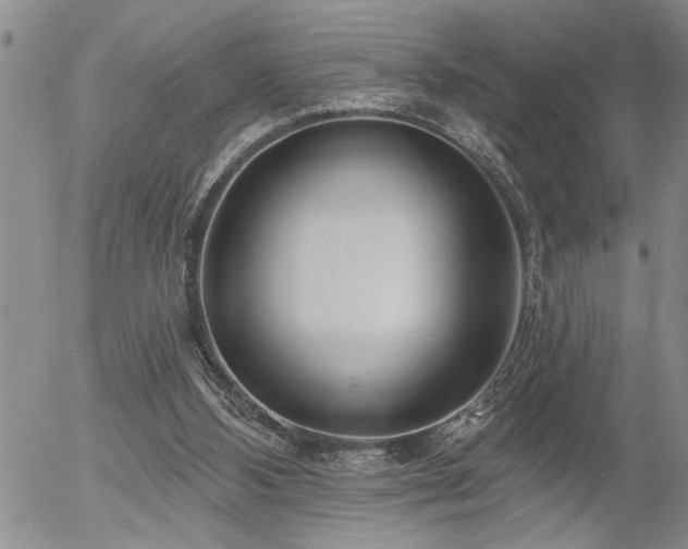X0000054400108200507291127