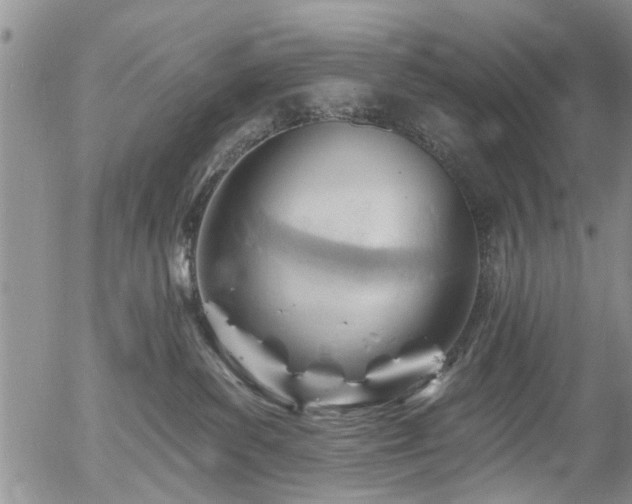 X0000054400139200507291127