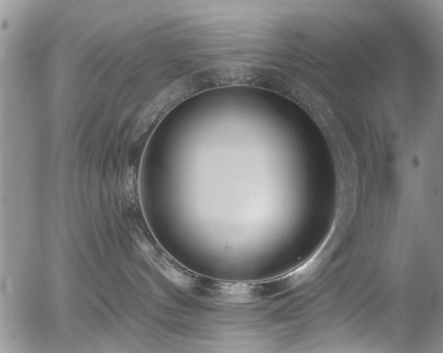 X0000054400144200507291127