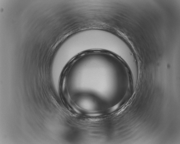 X0000054400154200507291126