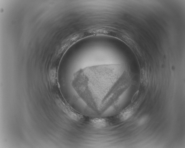 X0000054400189200507291127
