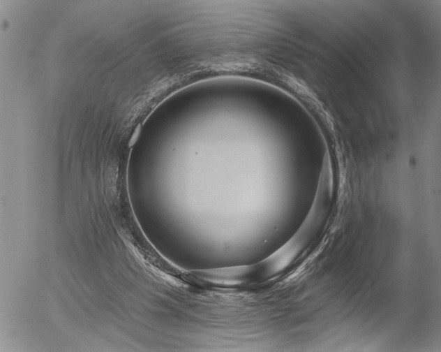 X0000054400201200507291126