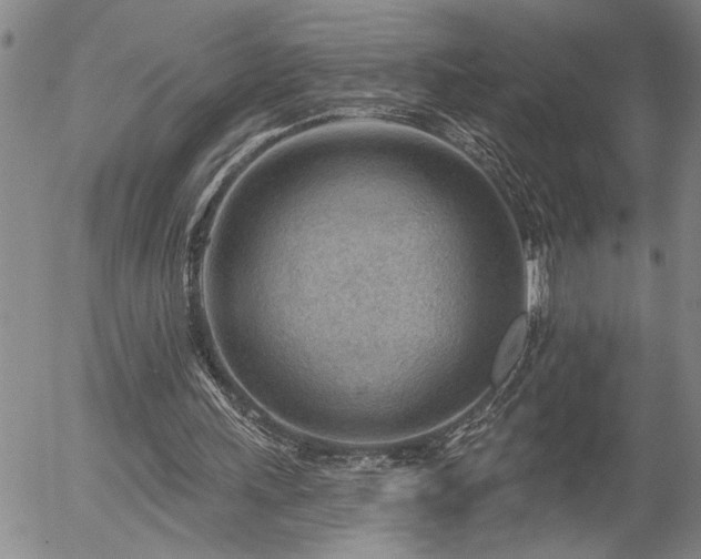 X0000054400243200507291124