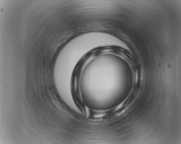 X0000054400362200507291123