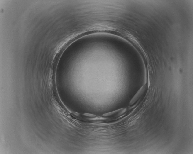 X0000054400387200507291123
