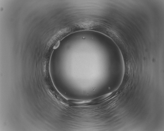 X0000054400404200507291122