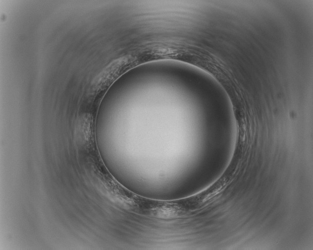 X0000054400412200507291122