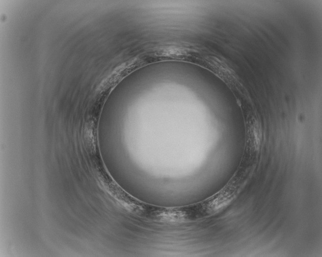 X0000054400415200507291122