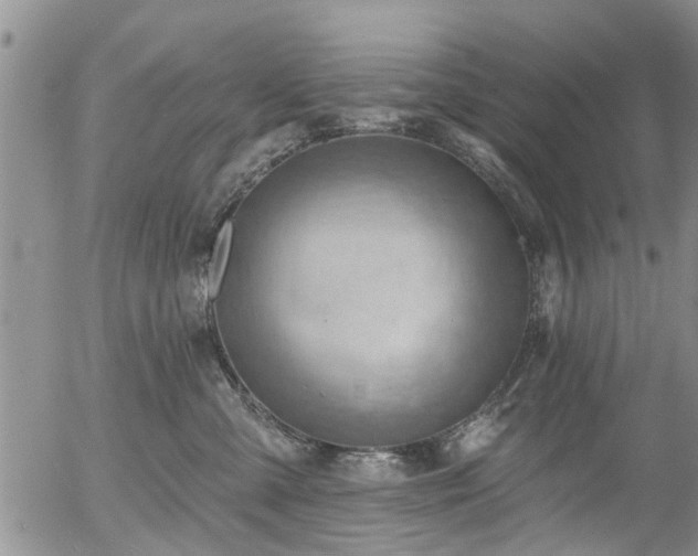 X0000054400427200507291122