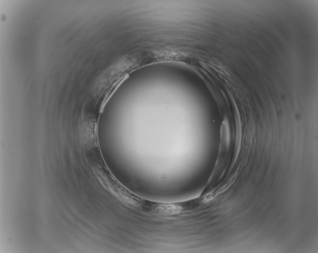 X0000054400429200507291122