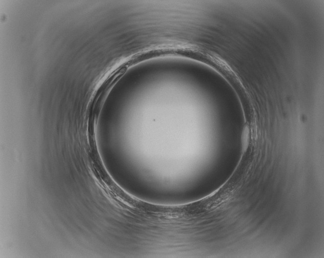 X0000054400436200507291121