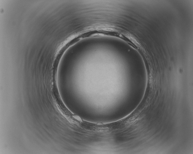 X0000054400438200507291121