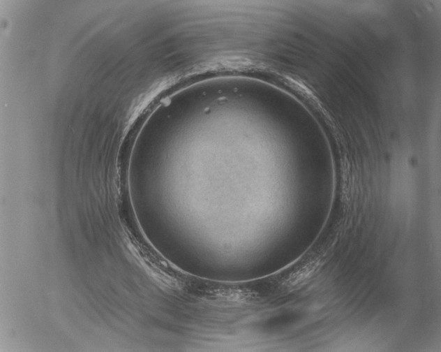 X0000054400439200507291121