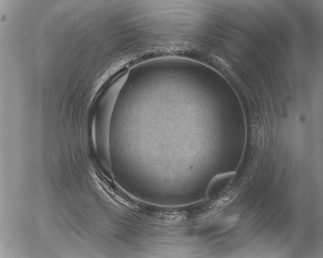 X0000054400443200507291121