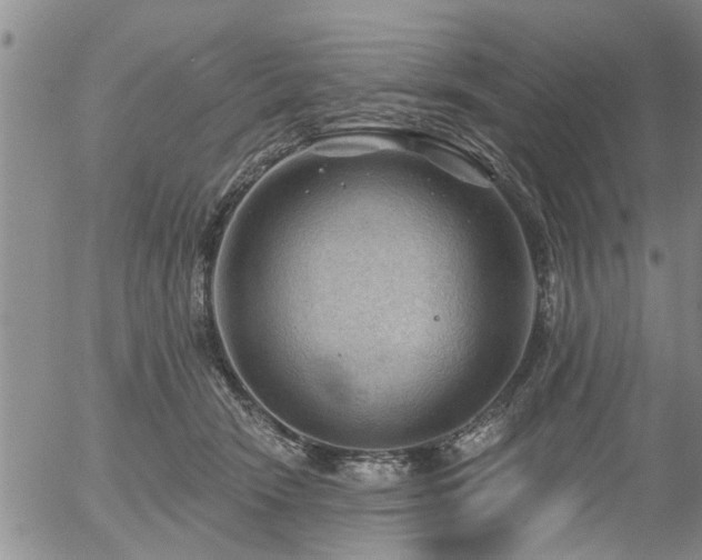 X0000054400466200507291122