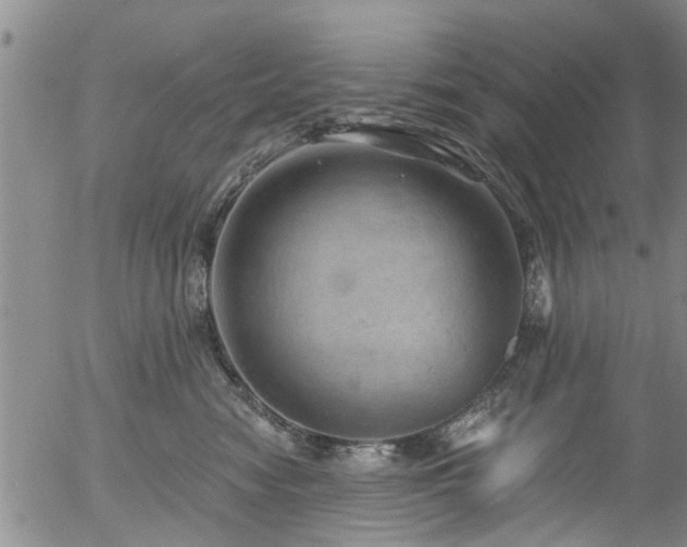 X0000054400474200507291122