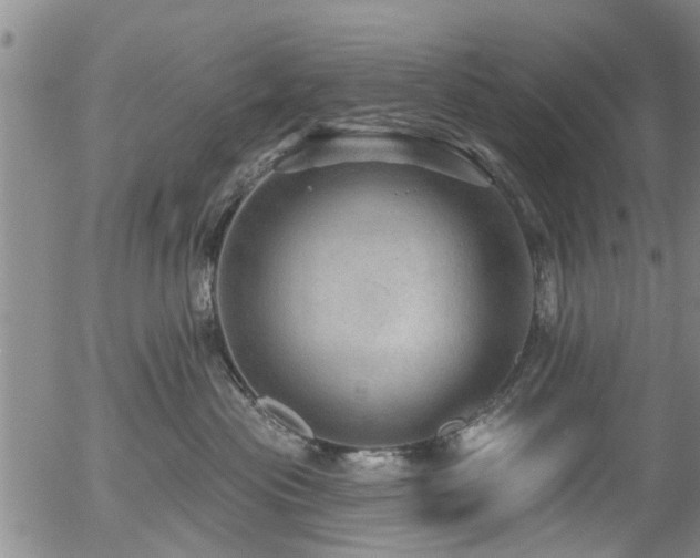 X0000054400477200507291122