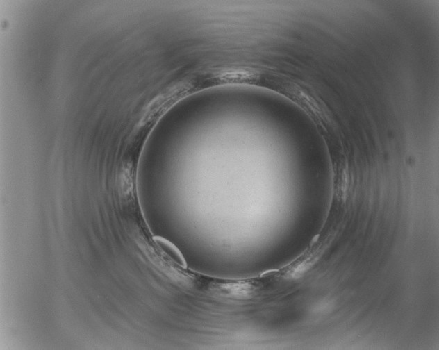 X0000054400478200507291122