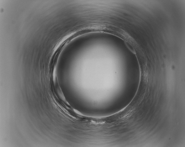 X0000054400484200507291121