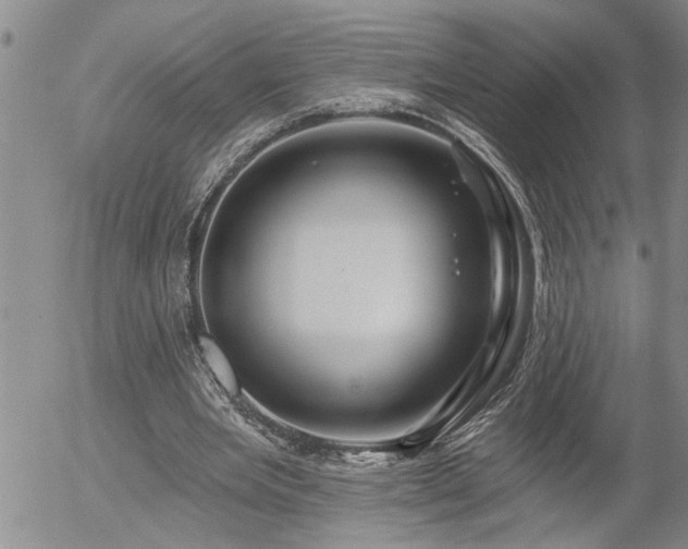 X0000054400485200507291121