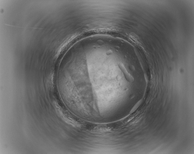 X0000054400491200507291121