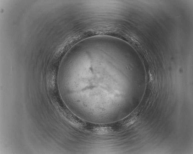 X0000054400499200507291121