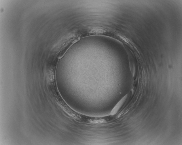 X0000054400517200507291121