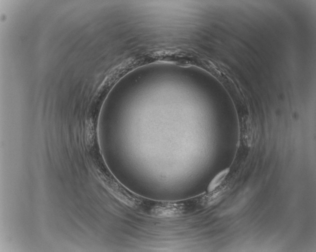 X0000054400563200507291120