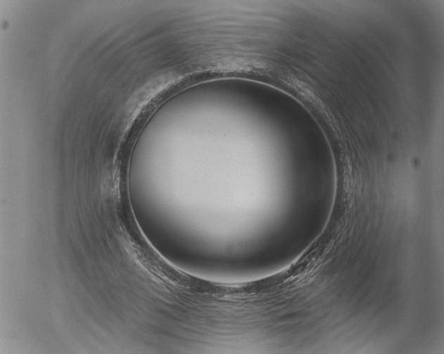 X0000054400584200507291119