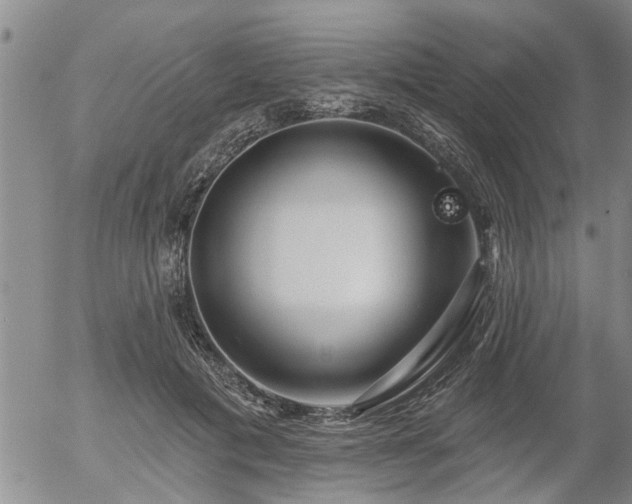 X0000054400601200507291119