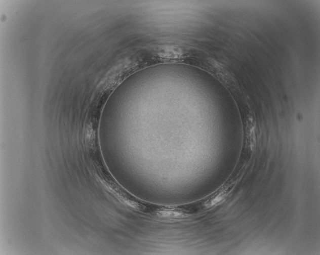 X0000054400614200507291119
