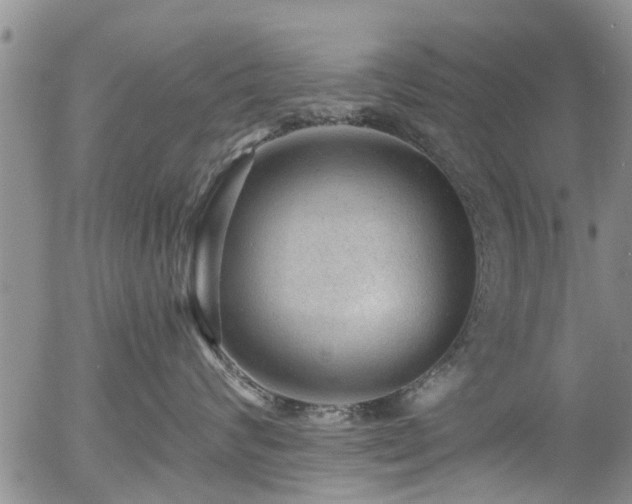 X0000054400624200507291119