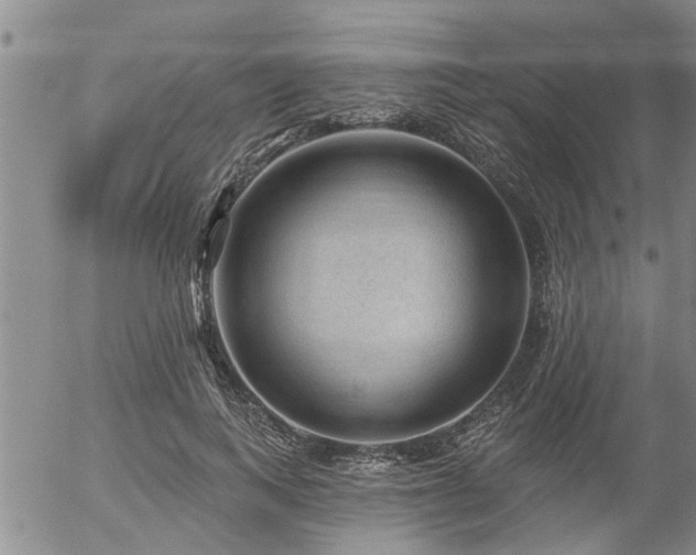 X0000054400743200507291117