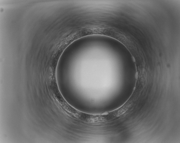X0000054400752200507291117