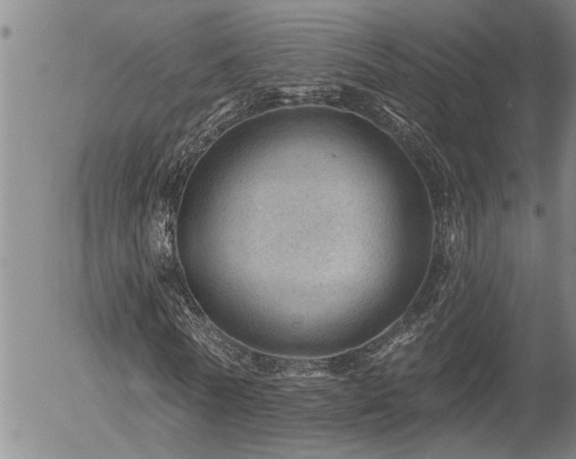 X0000054400770200507291116