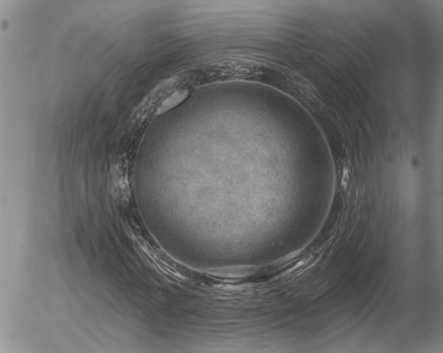 X0000054400771200507291116