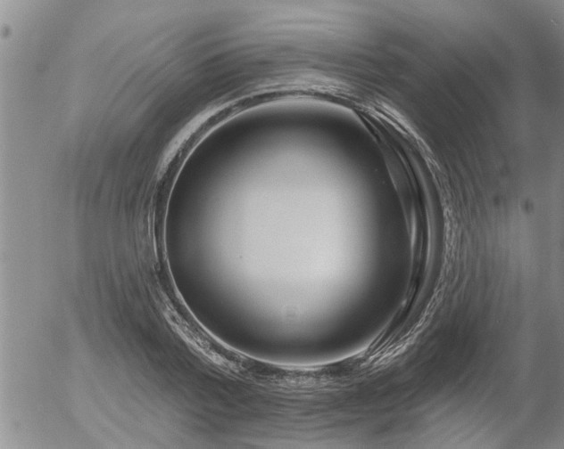 X0000054400788200507291116
